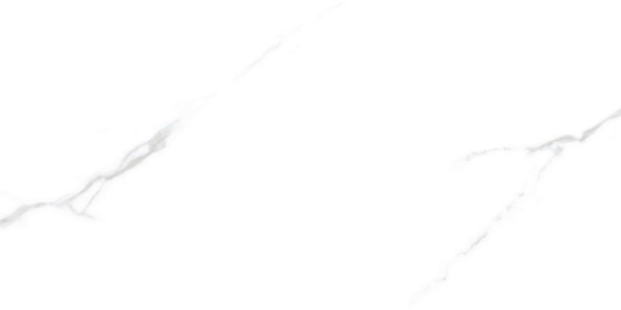 MT4810