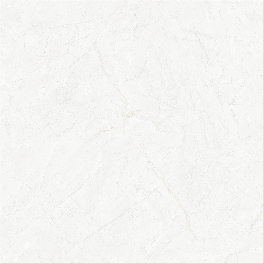 MT8B007
