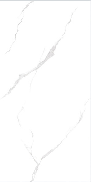 MT98008